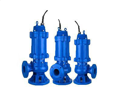 500qw2200-10-110 Pomp de Met duikvermogen van de Aquicultuurriolering