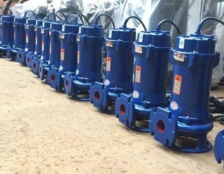 500qw2200-10-110 Pomp de Met duikvermogen van de Aquicultuurriolering