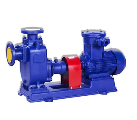 300cyz-a-50 300cyz-a-50 Industriële Centrifugaalpomp Zelfinstructie Horizontale 110kw