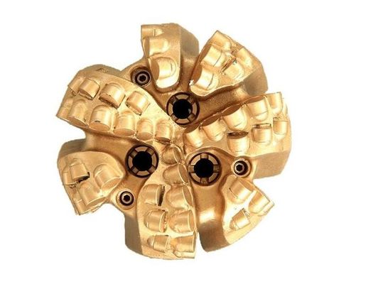 7 de Boorbeetje van ″ 7/8 Pdc met 6 Bladen voor Omgekeerde Omloop 16mm Snijders